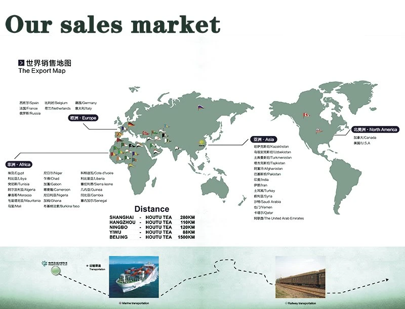 Morocco and Laayoune market reference Morocco market reference for Chunmee Green Tea