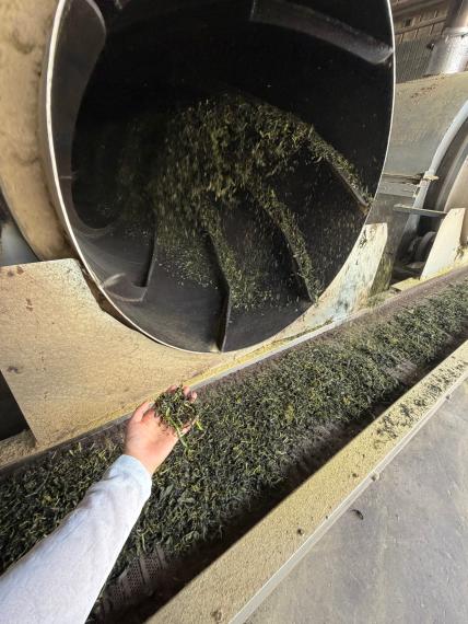Long‑Lasting Storage Dark Shiny Green Gunpowder Tea high quality
